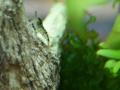 Zoogeschäft Kassel, Zoohaus Süd, Aquaristik, Nano