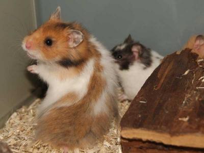 zoohaus-ks.de | aktuelles Angebot